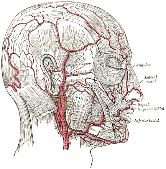 How to Manage Aesthetic Complications for Junior Doctors